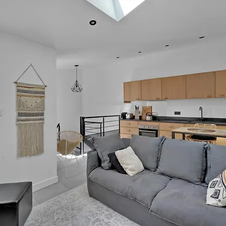 Very Nice Duplex Located In Toulouse *