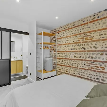 Appartement Very Nice Duplex Located In Toulouse