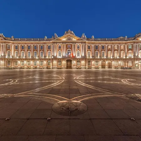 Very Nice Duplex Located In Toulouse *