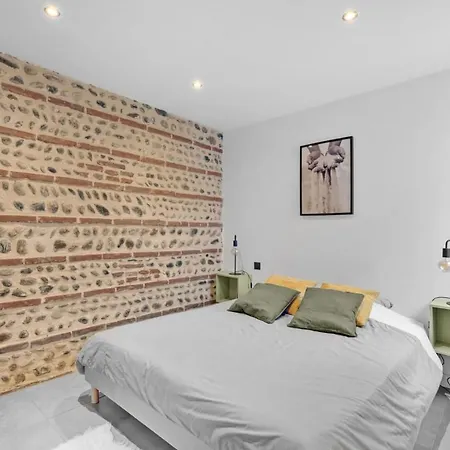 Very Nice Duplex Located In Toulouse